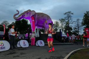 BIB: 
                            <button type="button" onclick="openModal(26529559)" class="btn btn-primary btn-sm float-right btn-popup" data-toggle="modal" data-target=".modal-high-quality">
                        <i class="fas fa-shopping-cart"></i> Add to Cart
                    </button>
                                            <button type="button" onclick="isThisMe(26529559, true)" class="btn btn-success btn-sm float-right btn-popup btn-isme hidden" data-toggle="tooltip" data-placement="bottom" title="นี่คือรูปของคุณใช่ไหม คลิกที่นี่เพื่อเอาเข้าอัลบั้ม">
                        <i class="fas fa-plus"></i> Add to album
                    </button>
                    <button type="button" onclick="isThisMe(26529559, false)" class="btn btn-warning btn-sm float-right btn-popup btn-isnotme hidden">
                        <i class="fas fa-ban"></i> Remove from album
                    </button>